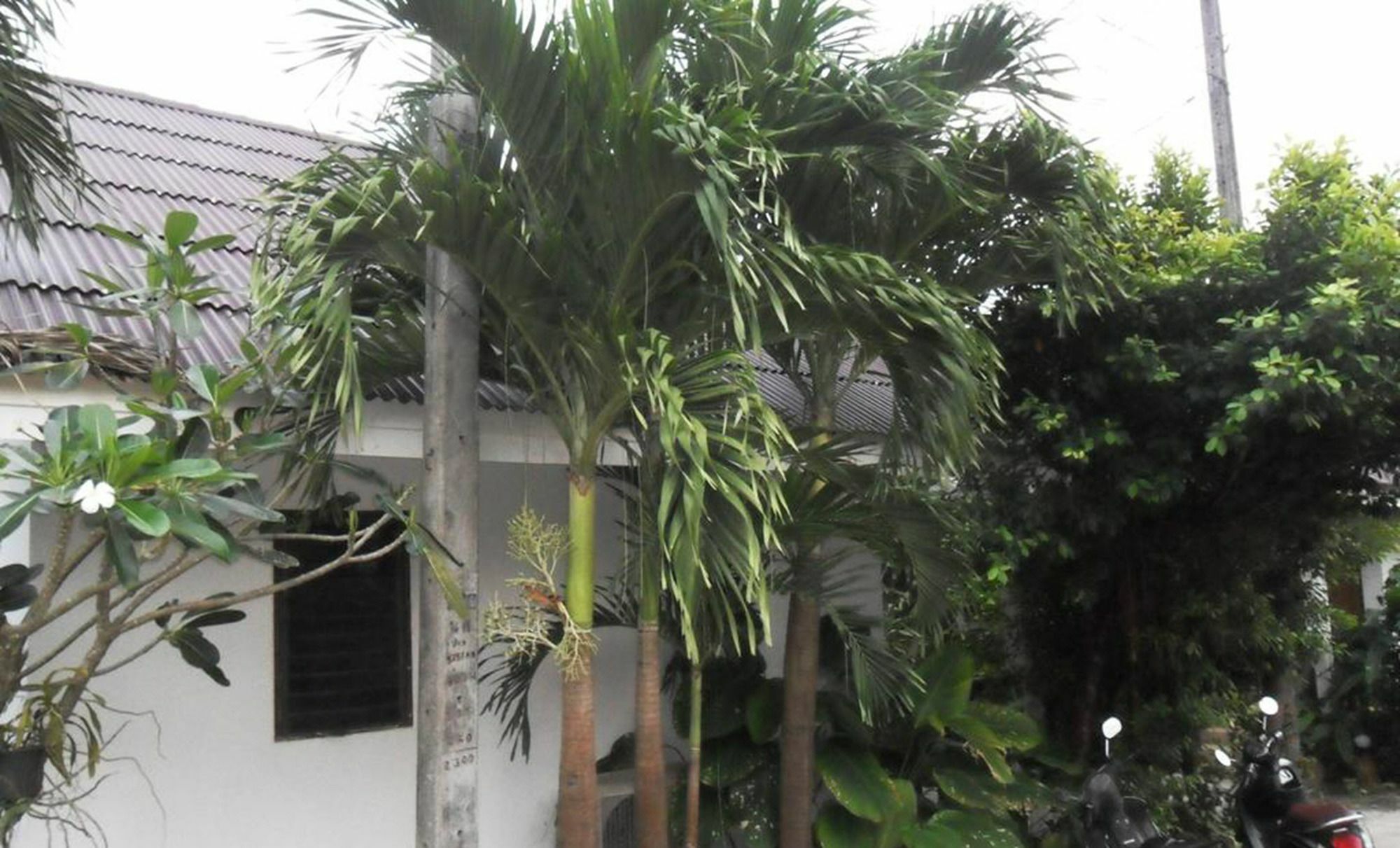 Aonang Sr Bungalows Ao Nang Exteriör bild